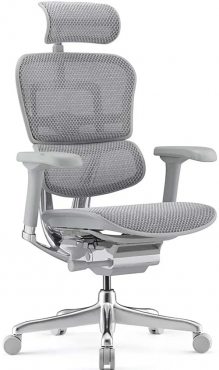 Ergohuman Elite 2