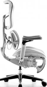 Sihoo Doro S300