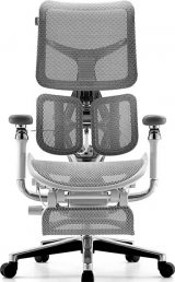 Sihoo Doro S300