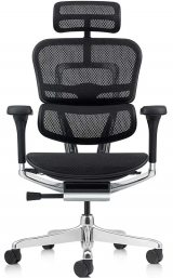 Ergohuman Elite 2